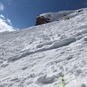 Meet your Posher, Missy